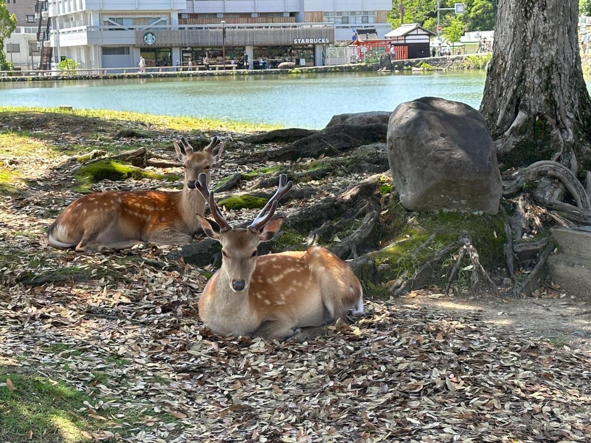 Ryokan Kousen Kazeya Group Nara Kültér fotó