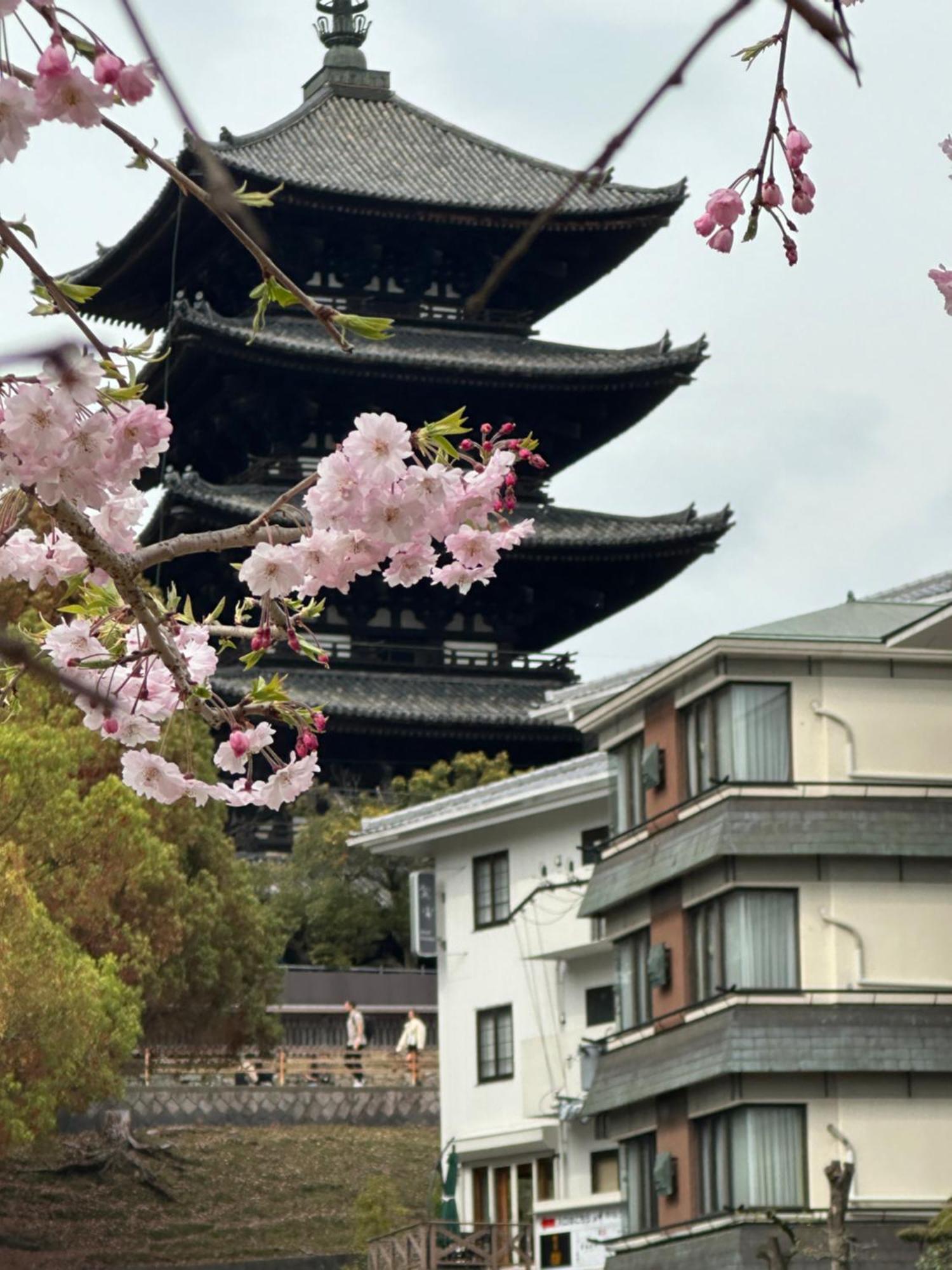 Ryokan Kousen Kazeya Group Nara Kültér fotó