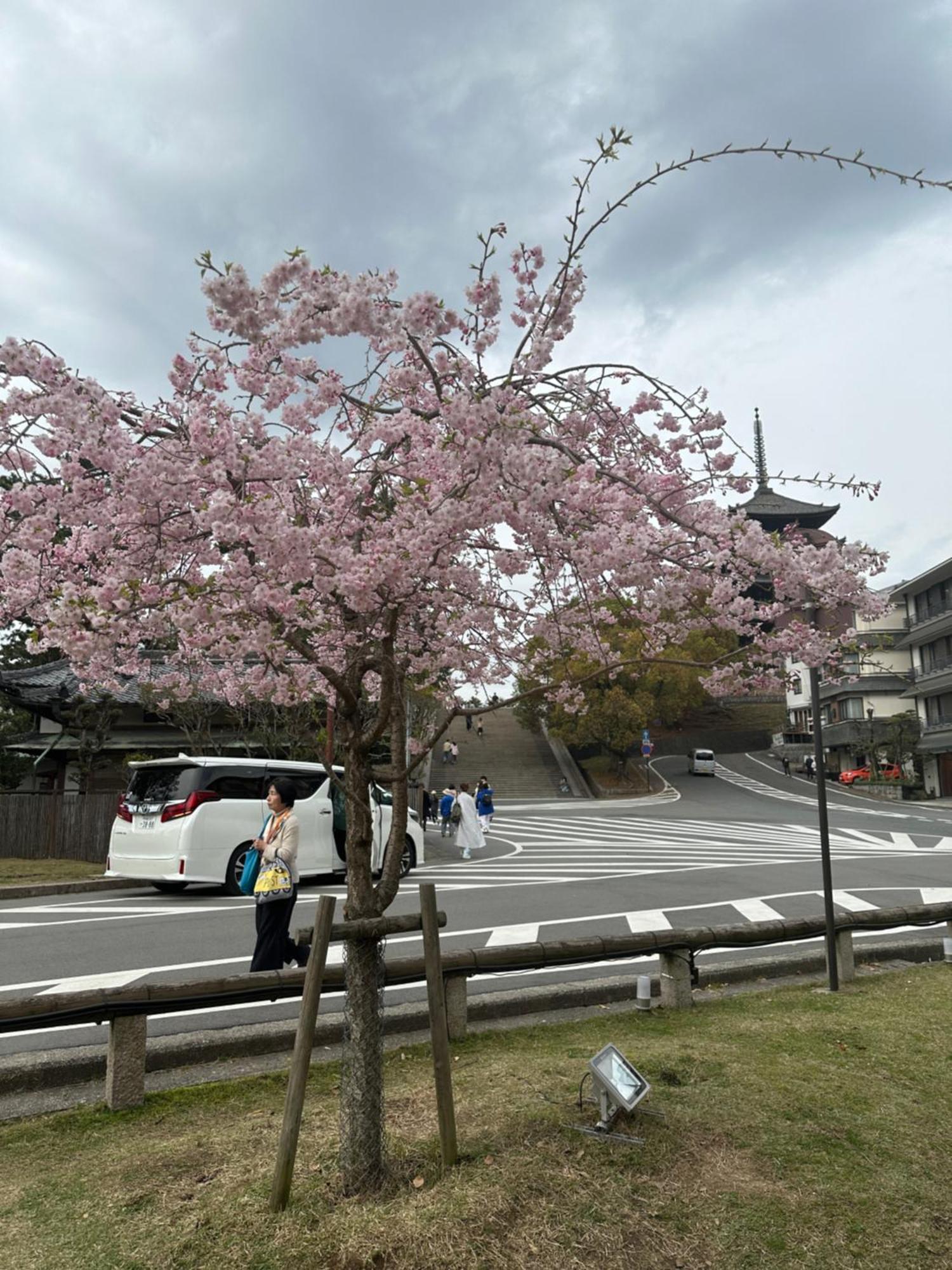 Ryokan Kousen Kazeya Group Nara Kültér fotó